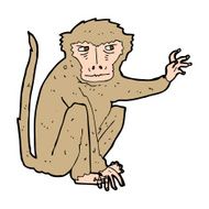 cartoon evil monkey N11