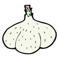 Cartoon Garlic N29