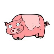 Cartoon Pig N79