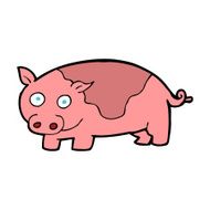 Cartoon Pig N80