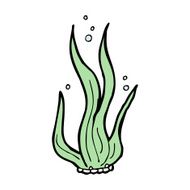 Cartoon Seaweed N88