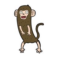 cartoon crazy monkey N26