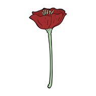 cartoon poppy N10