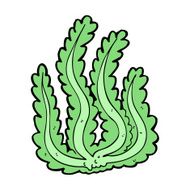Cartoon Seaweed N89