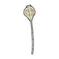 cartoon dried poppy N41