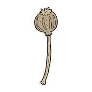 cartoon dried poppy N42