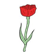 cartoon poppy N11