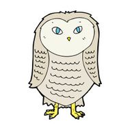 Cartoon Owl N215