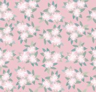 floral seamless pattern of chrysanthemums - Illustration