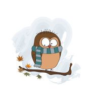 funny male bird with scarf N5