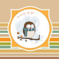 funny male bird with scarf N6