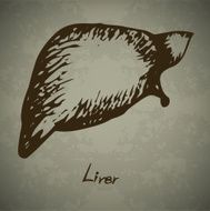 Doodle Human liver N2