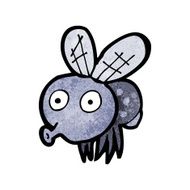 cartoon funny fly N2
