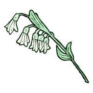 Cartoon Flowers N119