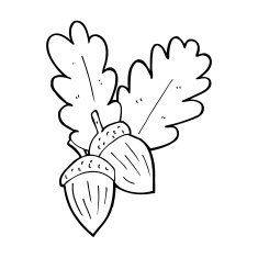 cartoon acorns N8