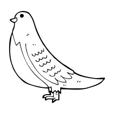 cartoon common bird N5