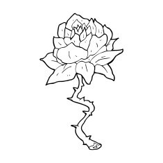 cartoon tattoo rose N5