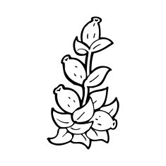 Cartoon Flowers N108