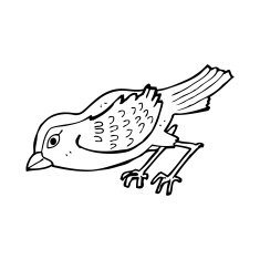 cartoon garden bird N55