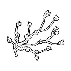 cartoon flowering branch N13