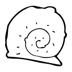 cartoon snail shell N13