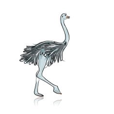 Ostrich sketch for your design