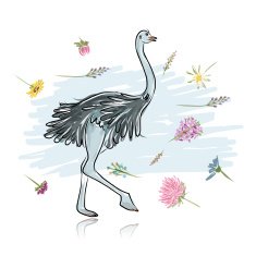 Ostrich sketch for your design N2