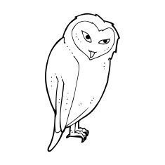 Cartoon Owl N204