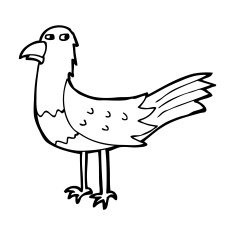 Cartoon Bird N527