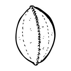 cartoon old leather football N5