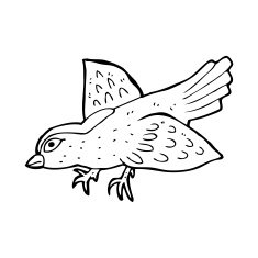 Cartoon Bird N529