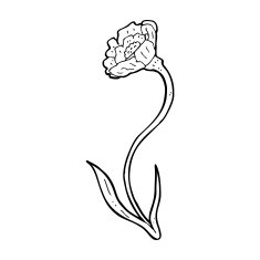 cartoon flower N600