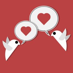 two birds on wire loving each other