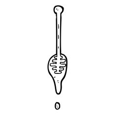 cartoon honey dipper N12