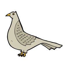 Cartoon Bird N532