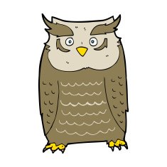 Cartoon Owl N208