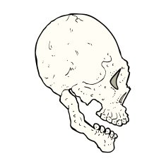 skull illustration N12
