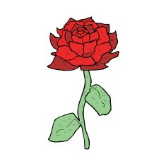rose cartoon N11