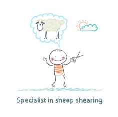 expert thinks about how to shear sheep