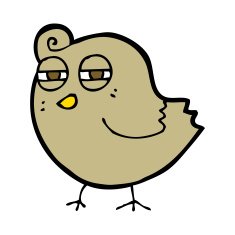 funny cartoon bird N264