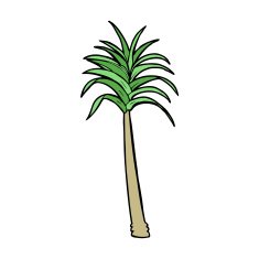 Cartoon Palm Tree N85