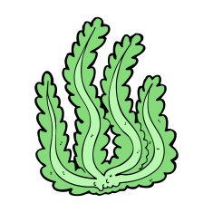 Cartoon Seaweed N89