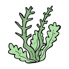 Cartoon Seaweed N91