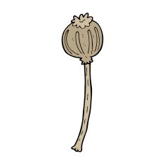 cartoon dried poppy N42