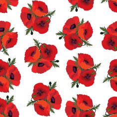 Floral seamless pattern of poppy - Illustration
