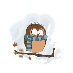 funny male bird with scarf N5