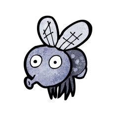 cartoon funny fly N2