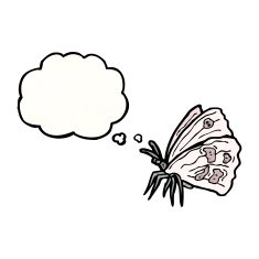 Cartoon Butterfly N121