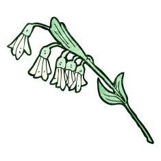 Cartoon Flowers N119