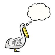 Cartoon Pelican N20